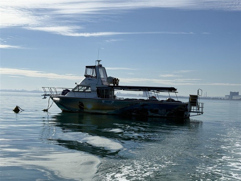 Periodic survey carried out at sea
